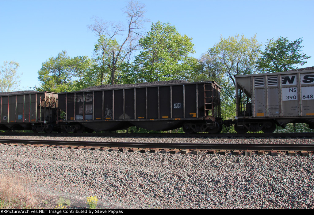 NS 10204